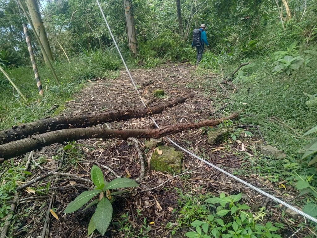 斯比斯比步道（廢棄）_2615179