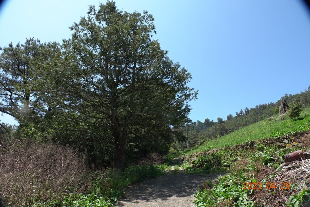 南投 仁愛 武法奈尾山_2133711