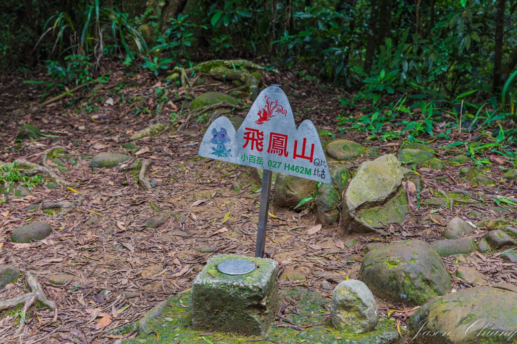 [新竹]飛鳳山_2512083