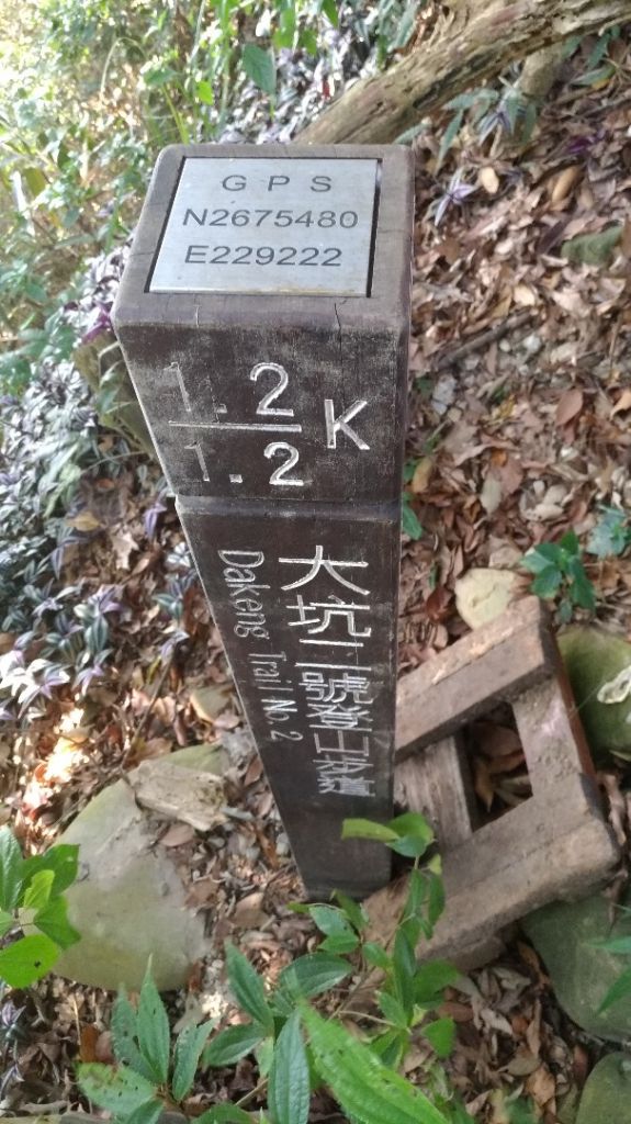 大坑2號步道封面圖