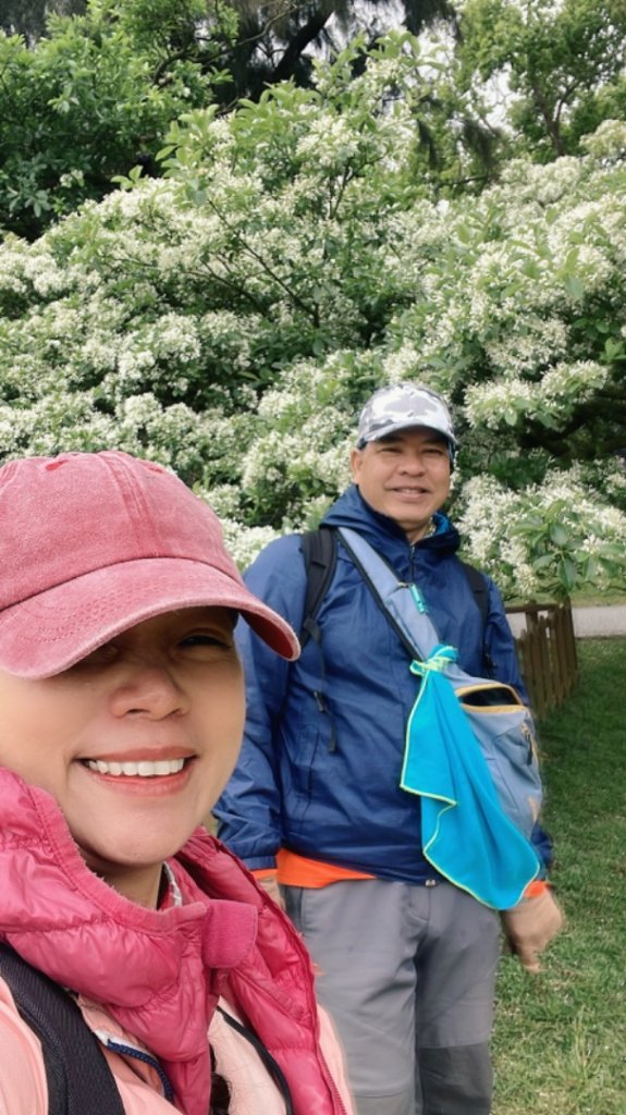 如夢似幻的四月五月雪-龍潭石管局-流蘇花盛開中-桐花🌸_2748649