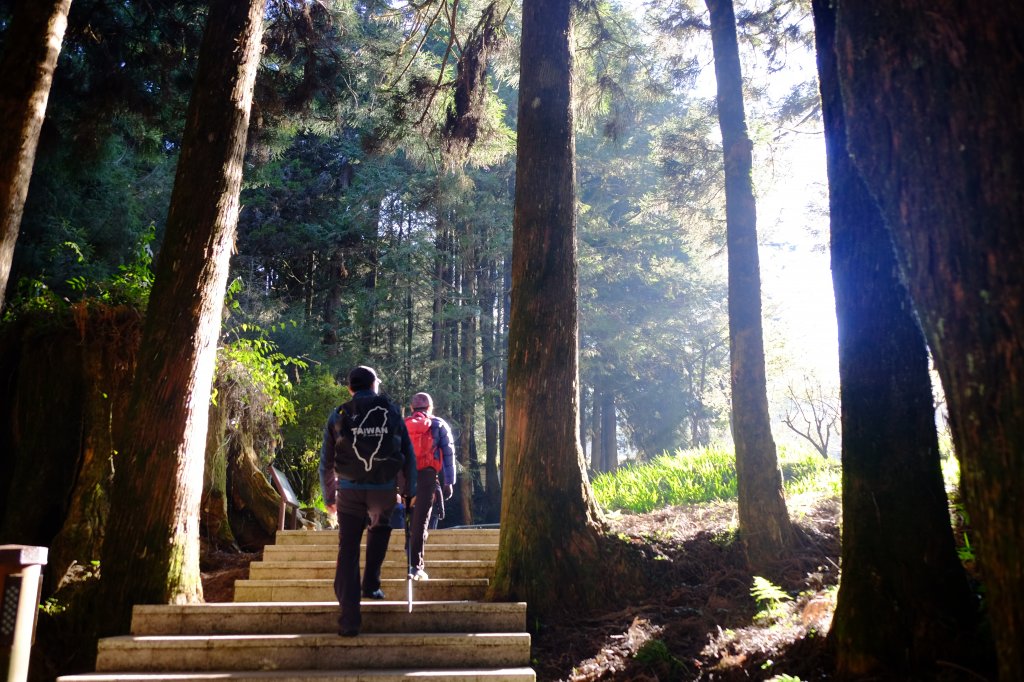 消失的眠月線_871917