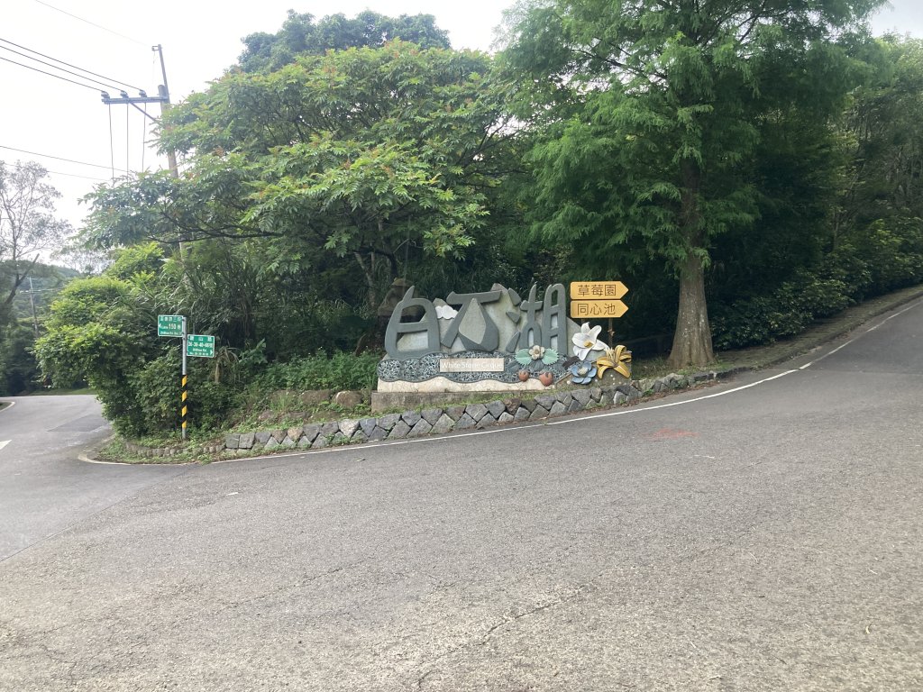 大崙頭山_2532695