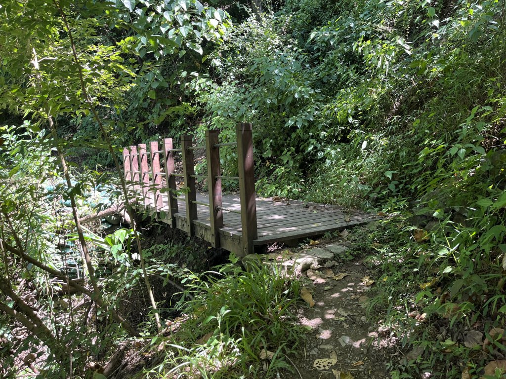 [屏步青雲 尋寶任務-04/10] 2024_0917 浸水營步道（前段）_2597923