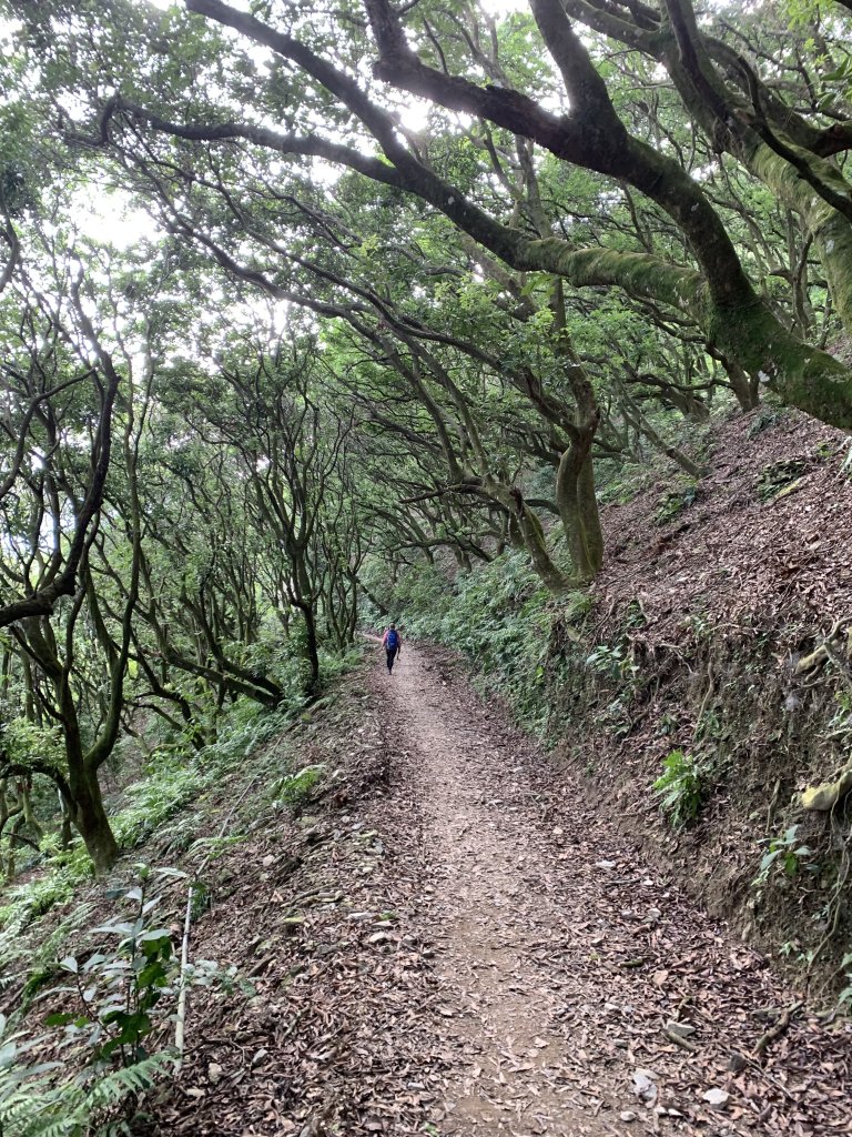 20251004高雄尾寮山-西北峰_2907834