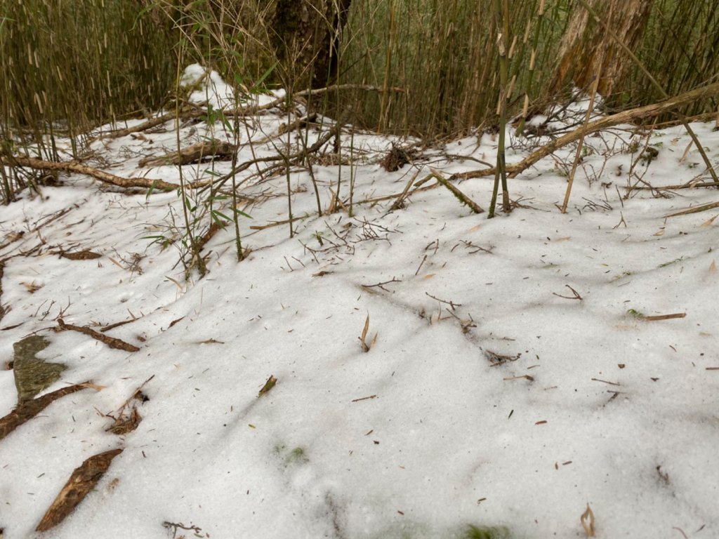 一日單攻白姑大山_821500