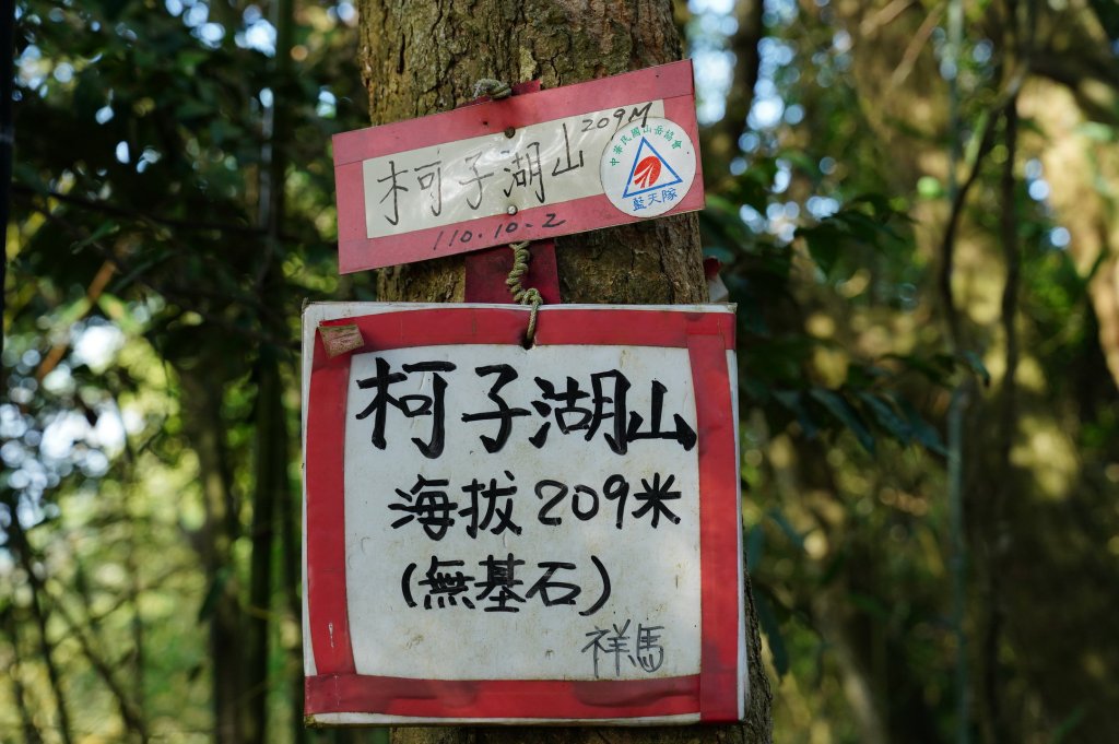 新竹 竹東 柯子湖山、尖山_2613906