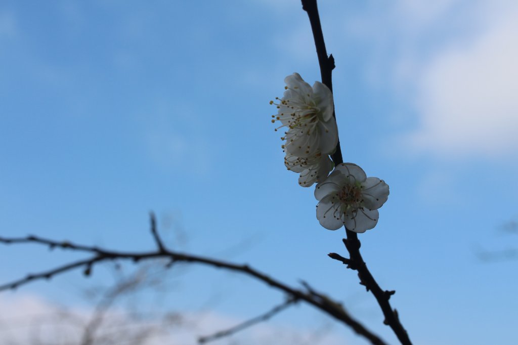 20220108高雄六義山_1588429