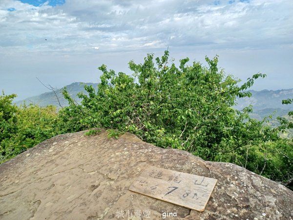 【台南白河】雞籠山+九龍山+大凍山O繞縱走_2797131