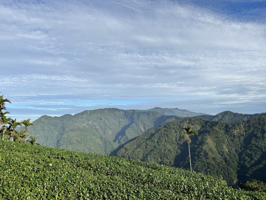 竹崎十三連峰 (阿里山四大天王越野賽路線)_1932700