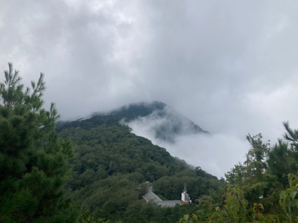 雲霧步道_2316066