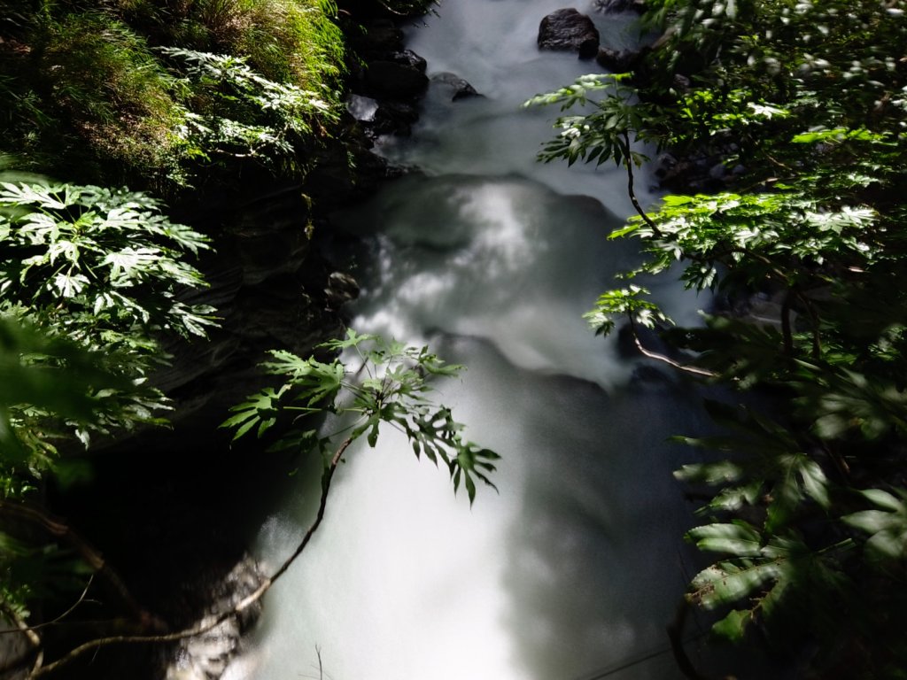 兩颱風之間空擋登屏風山巧遇保育類動物+出大景_2237829
