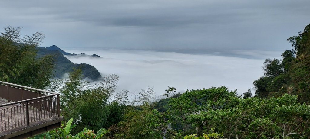 20250114東埔山；20250115二延平步道_2693843
