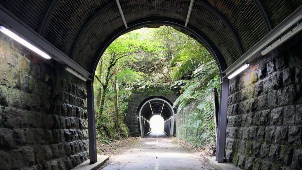 一錢鑽九孔_2531158