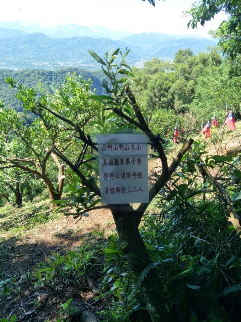 飛鳳山、觀日坪古道_1750119