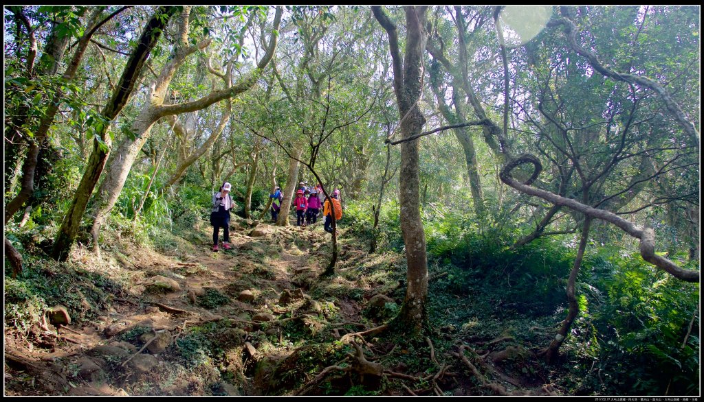 大屯山：向天池、向天山、面天山、大屯山_915365