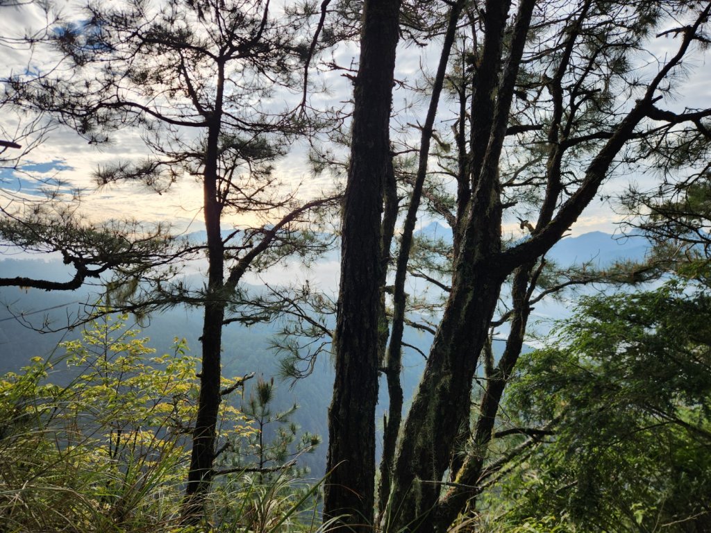 【百岳】志佳陽大山_2779849