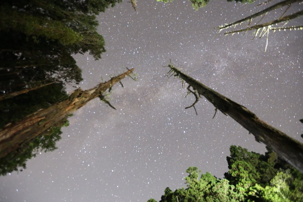 水樣森林 第一次在山裡過夜_659012