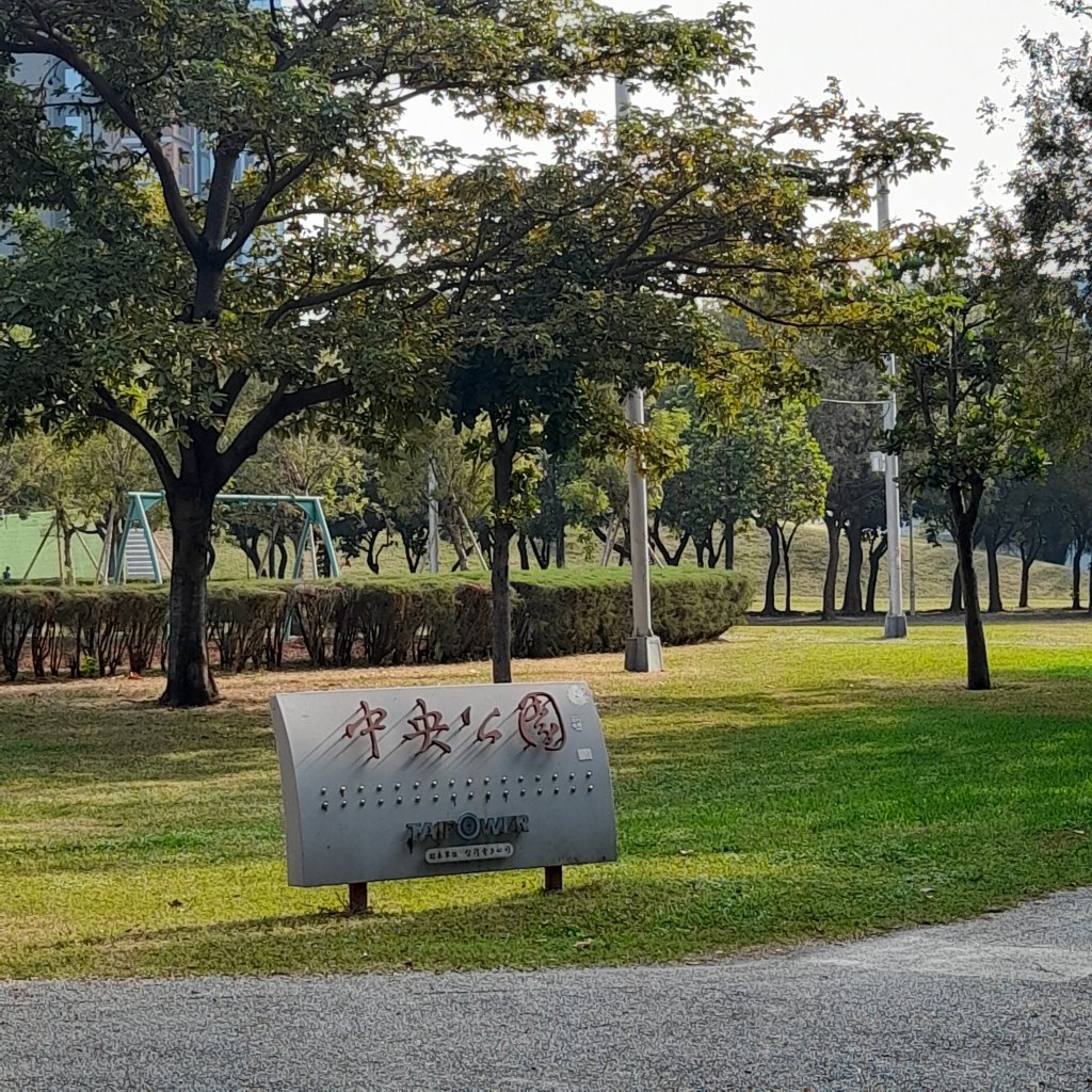 中央公園.高前金封面圖