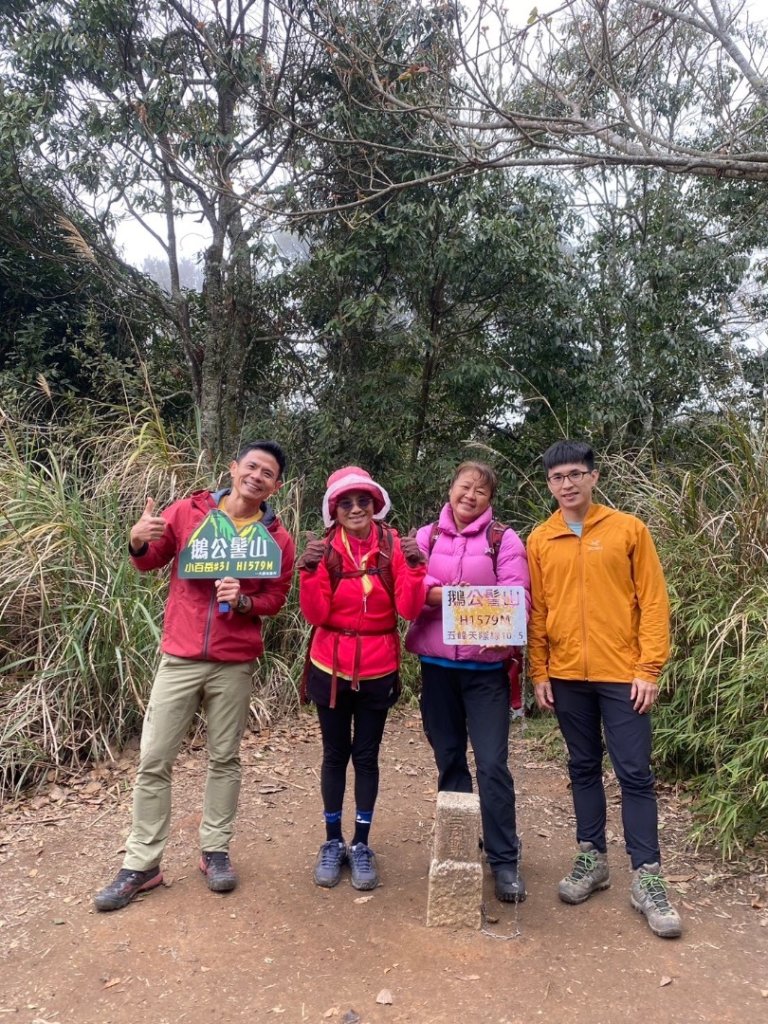 鵝公髻山（小百岳）鵝公髻山東北峰_2449844