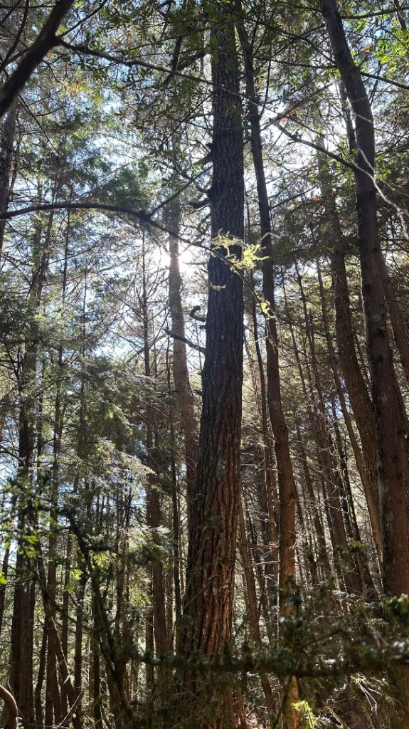 馬武霸下武陵_2962374