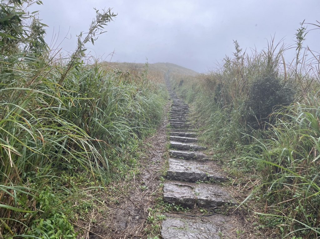 風雨中的大屯山_1948674