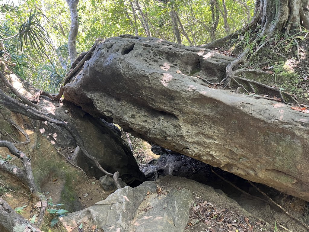 [微笑山線_第九段] 2025_0914 二格山系_天王峰_2889543