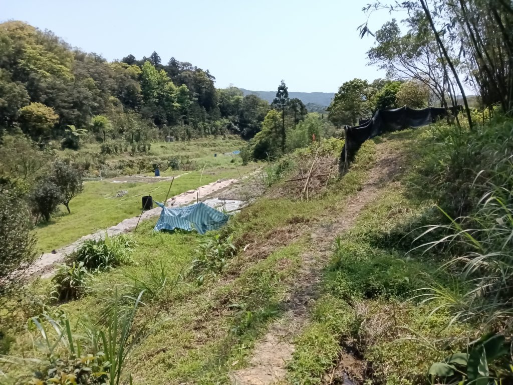 崩山坑古道+東柑腳山+後寮仔嶺+後寮子古道+後寮仔保甲路O型_2751024