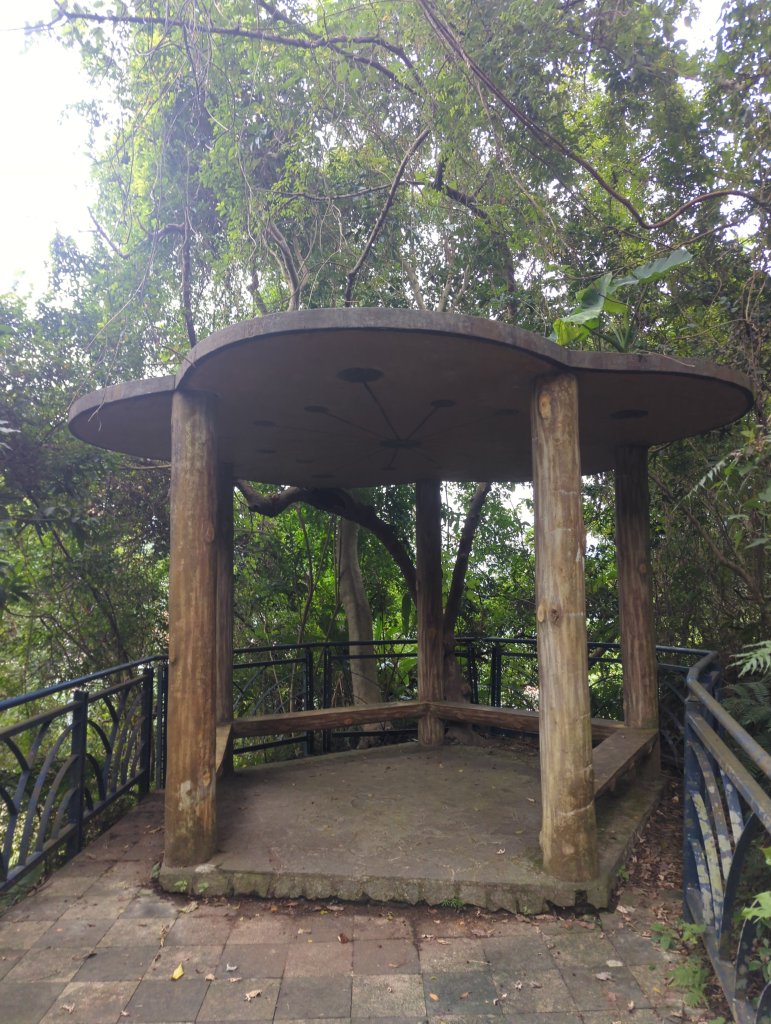 2025.12.14－微笑山線：【二格山系】和美山螢火蟲段_2966260