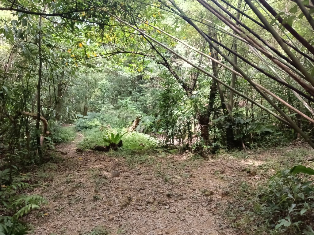 汐止區夢湖保線路+單車夢湖路O型_2894083