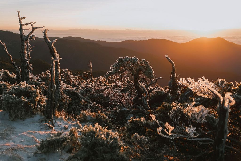 不可思議嘉明湖_226180