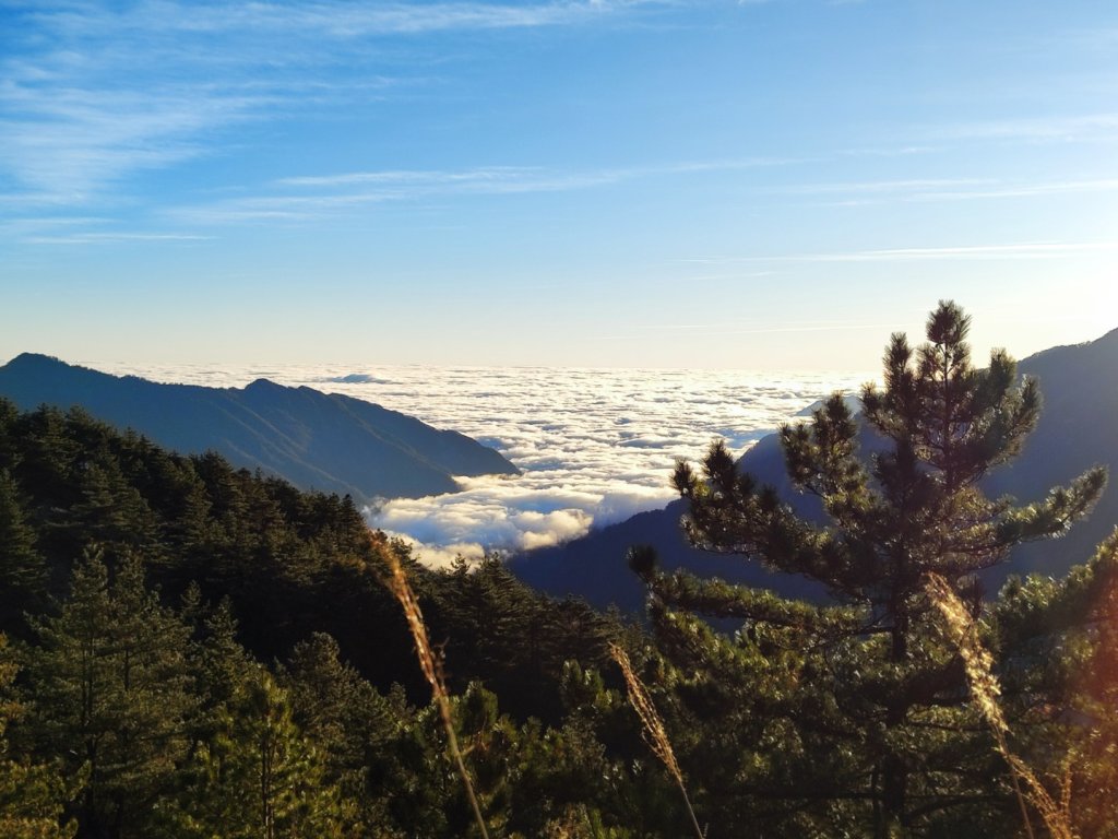 合歡北西下華岡_2683046