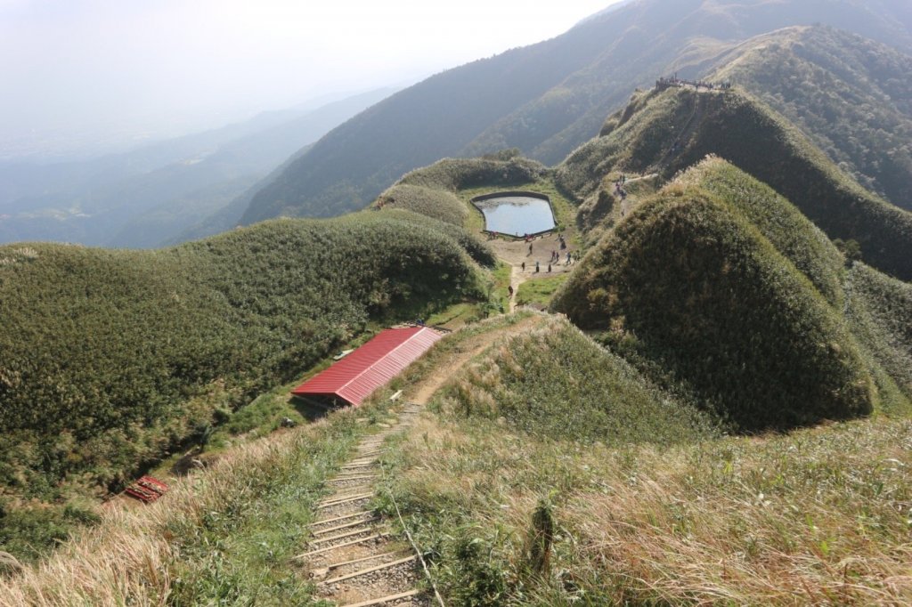 抹茶山上有草莓_447966