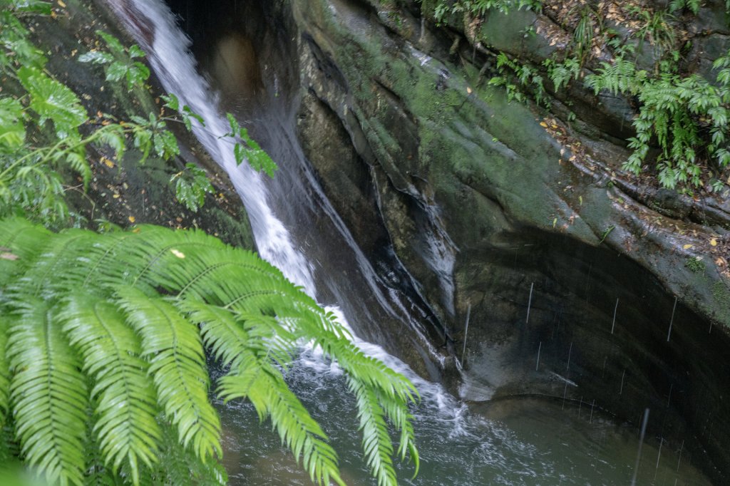 暖東峽谷/草嶺舊隧道_2816502