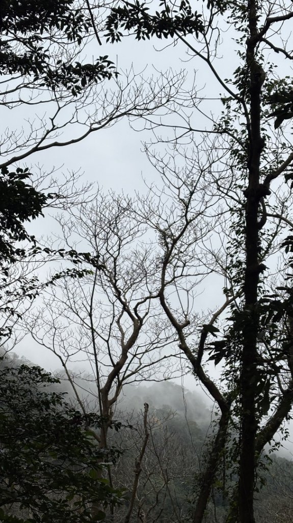 迷霧_2986933