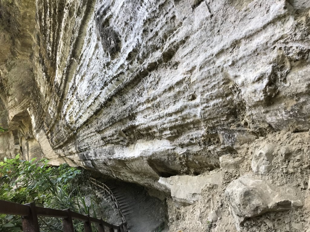 110年5月2日嘉義    青年嶺&雲潭步道_1456695