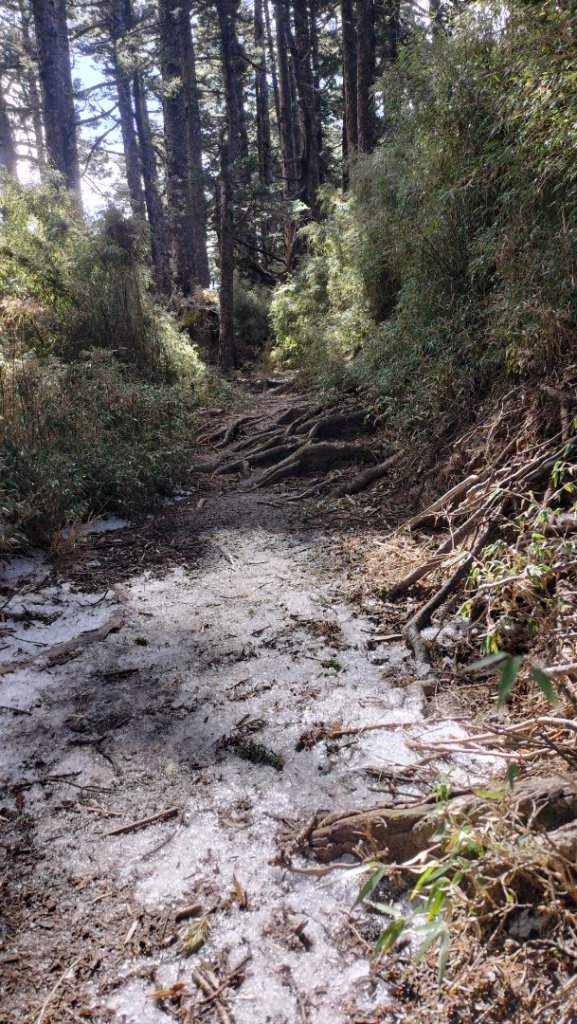 20250126_臺南首嶽關山_2706909