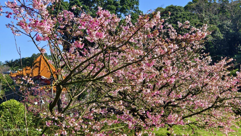 天元宮了嗎？2/3&10&14_2992590