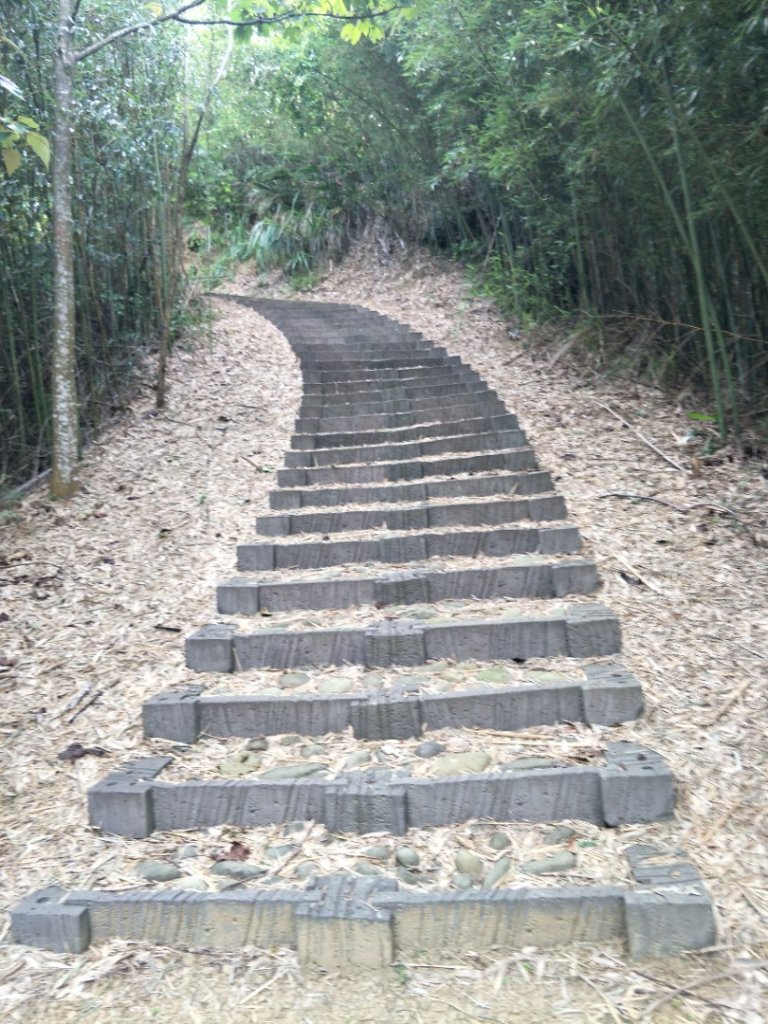 鐘樓古道_1431917