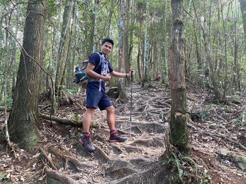 八仙山.東松鶴山【拚老命完成一年一雄的夢想】_2357743