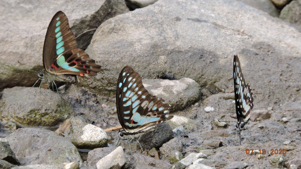 就是喜歡這個藍天白雲的FU_1032075