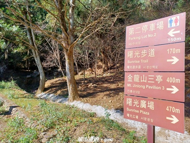 【南投魚池】郊山好視野。 金龍山(槌仔寮山)步道_2976295