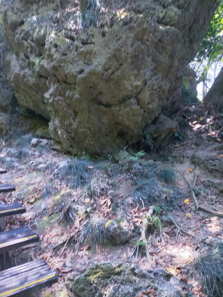 北柴山秘境之旅_2754373