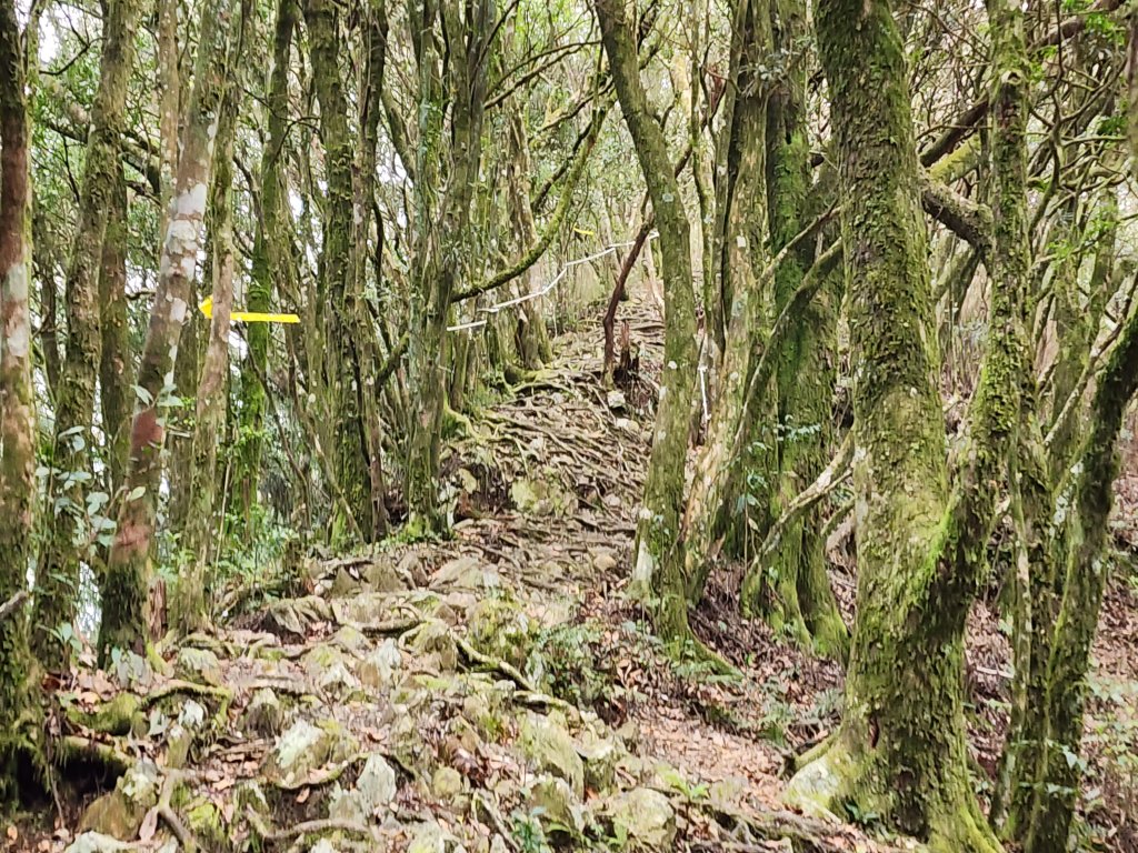 20240317八五山李棟山鳥嘴下山O型_2486240