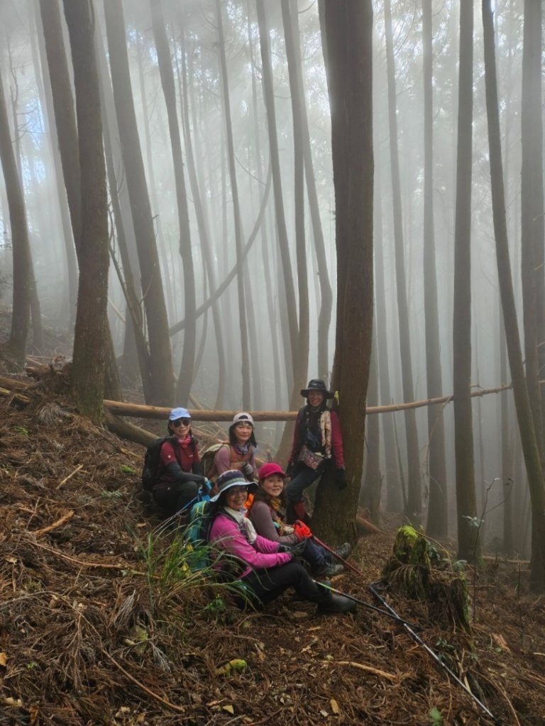 民都有山_2682892