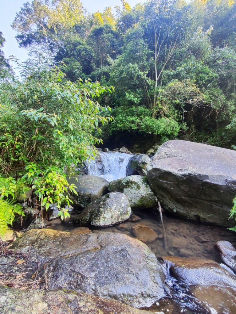 草山觀瀑吊橋-百年楓香巨木-草山水管支線-大屯瀑布-小隱潭瀑布_2982752