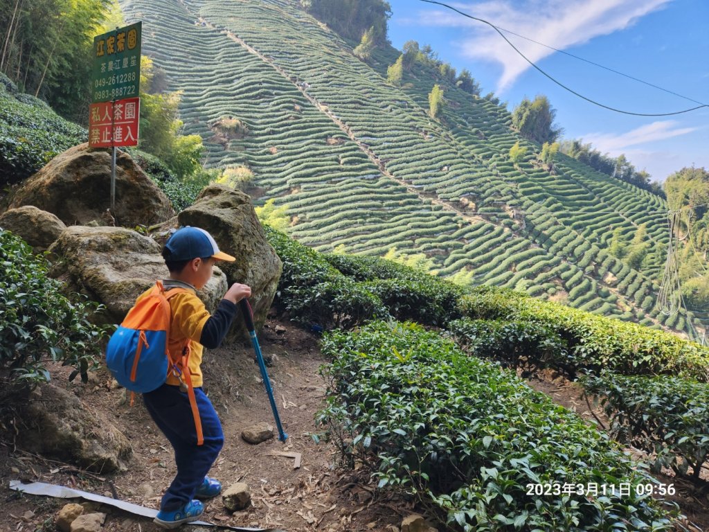 金柑樹山、忘憂森林步道_2070693
