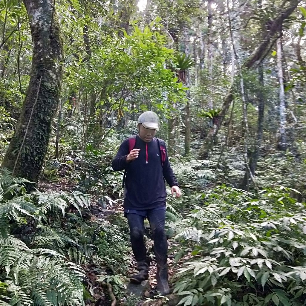 20201025 雲森瀑布，卡保山山毛櫸_1145482