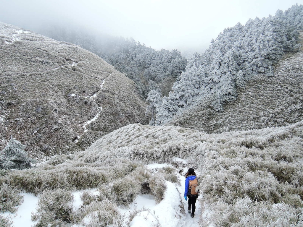 最新奇萊南峰_冰天雪地_263515