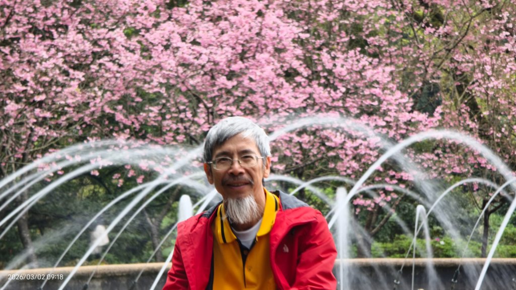 追花是簡單的快樂，賞花是恬淡的幸褔 3/2&7_3008828